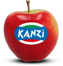 Kanzi